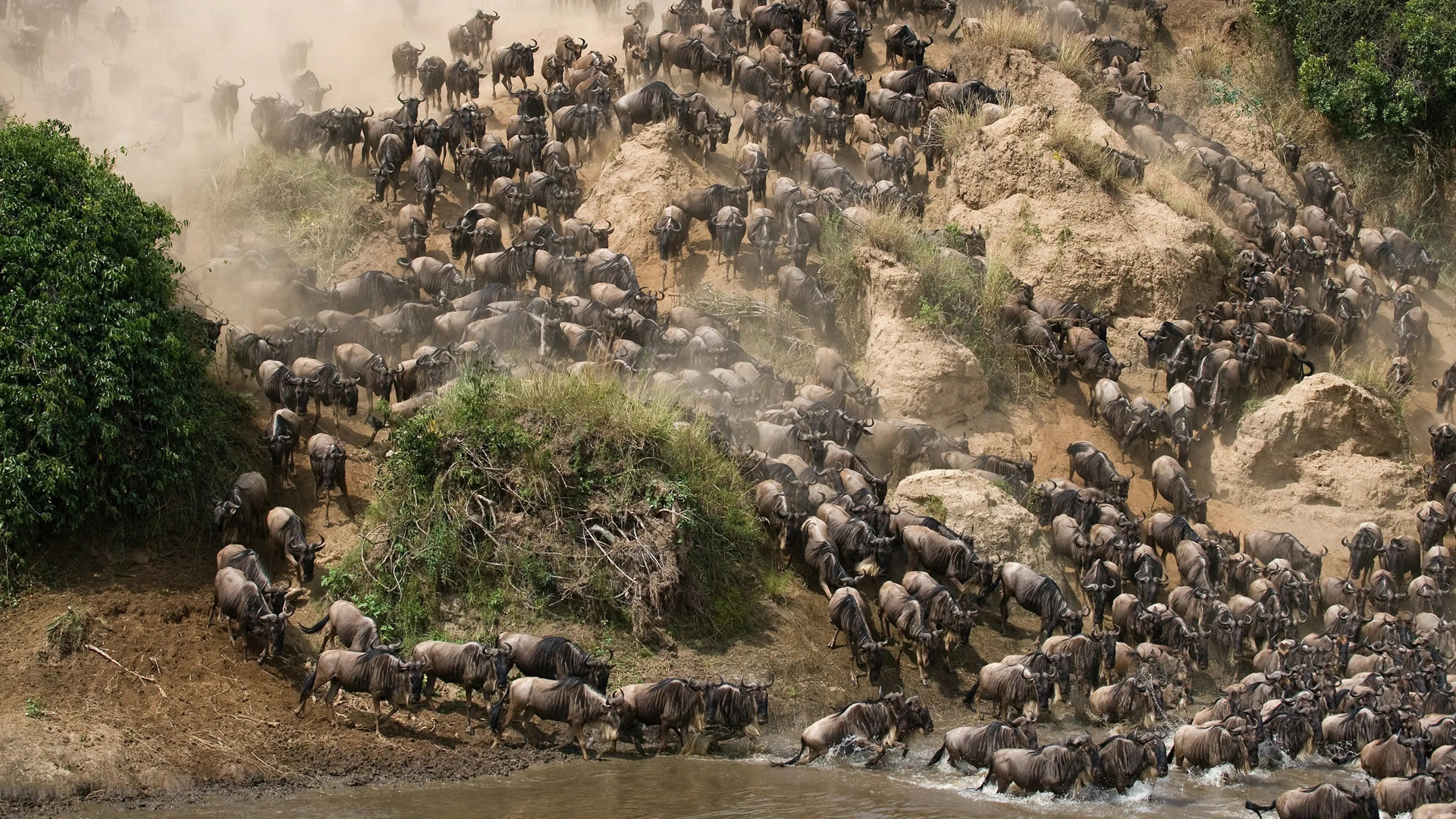 Nairobi Safari