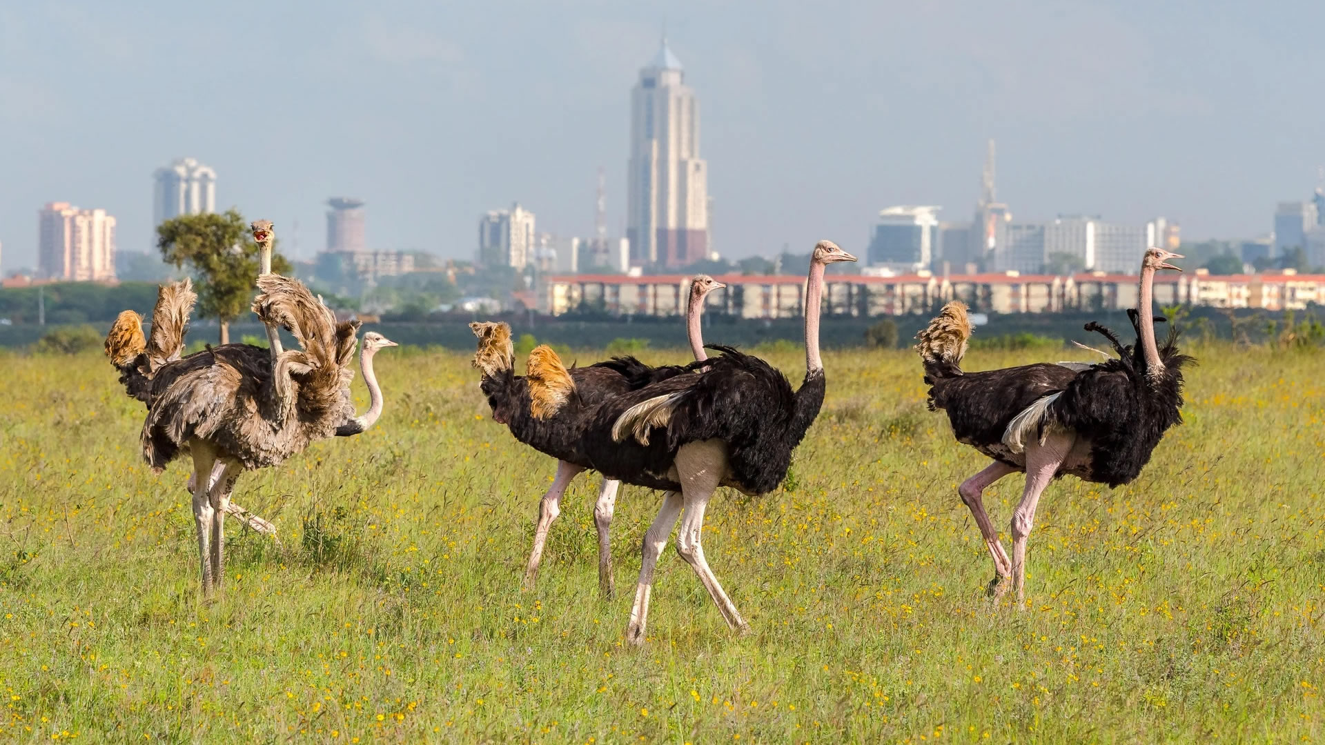 Nairobi