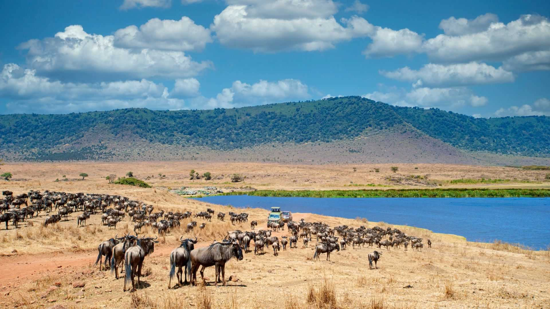 Nairobi Safari