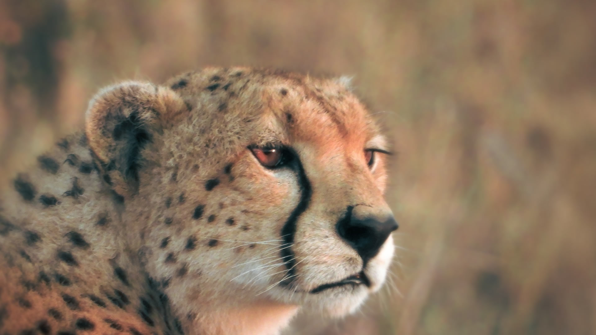 Nairobi