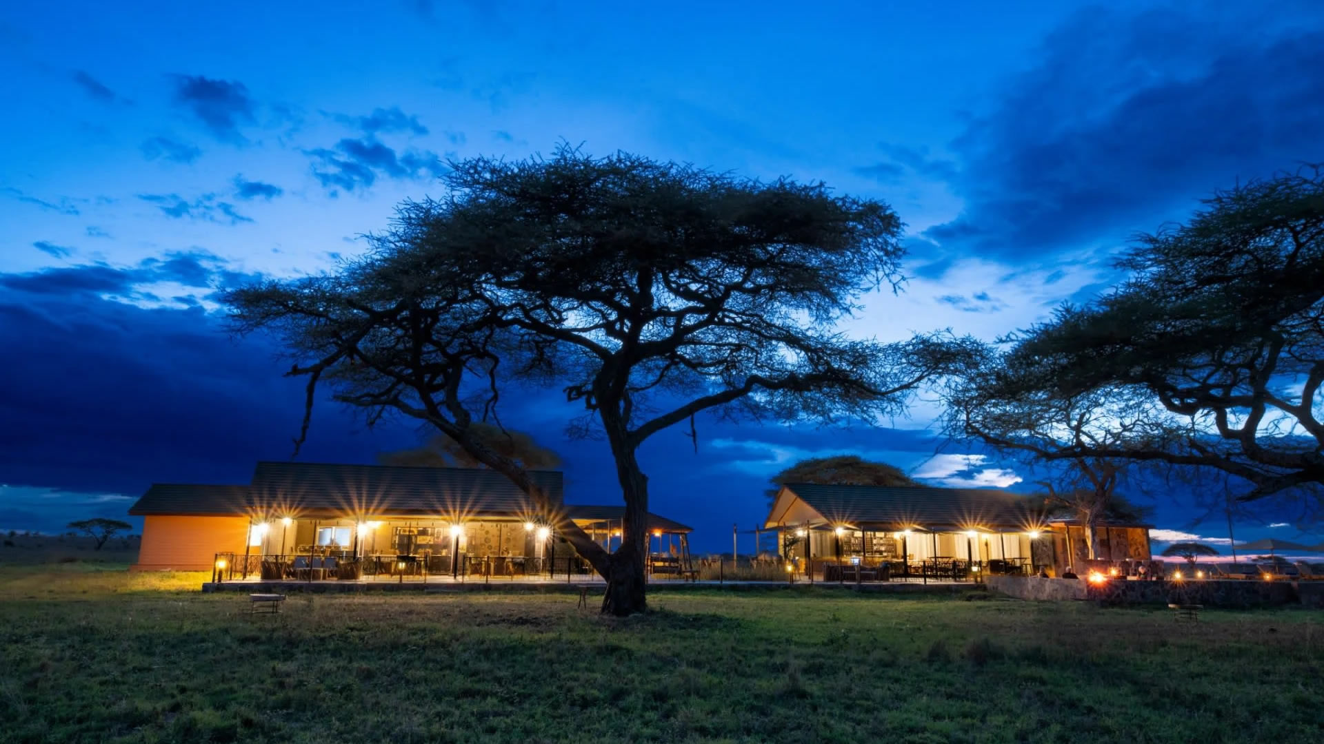 Nairobi Safari